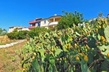 Villa Lucija Pola Esterno foto